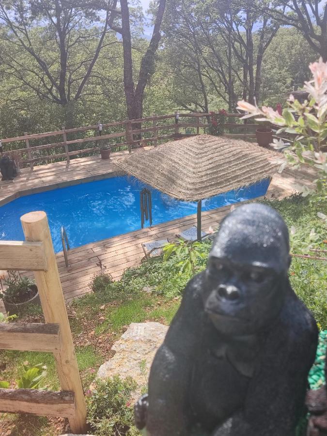 La Lyalis Bed and Breakfast Aiguines Buitenkant foto